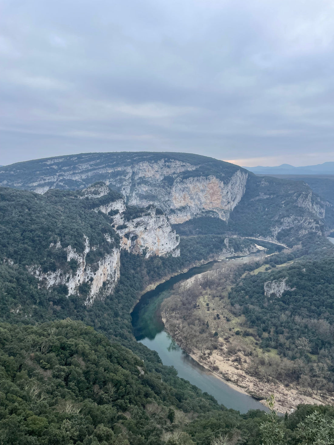Le terroir des Gorges de l'Ardèche : comment les sols calcaires façonnent nos oliviers