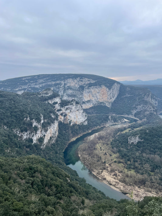 Le terroir des Gorges de l'Ardèche : comment les sols calcaires façonnent nos oliviers